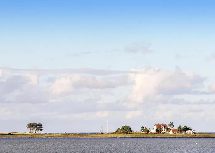 Kuschelmuschel Feriehus Olpenæs